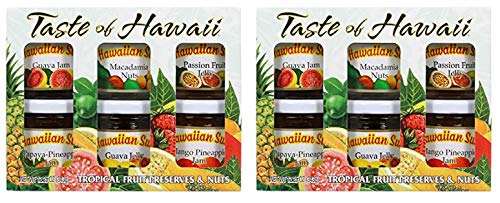 Amazon Com Pack Of 2 Hawaiian Sun Taste Of Hawaii Tropical
