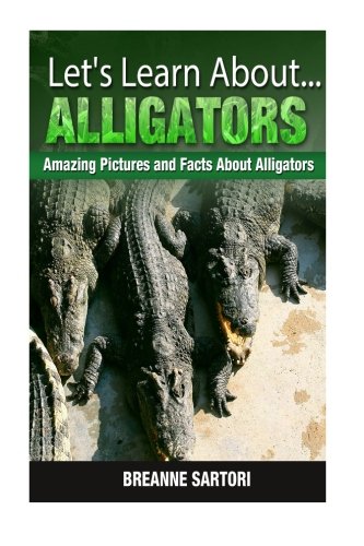 Alligators (Let's Learn About)