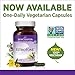 New Chapter Estrotone, 60 Softgels