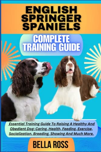 Spaniel Puppy Training English Springer Spaniel Training English