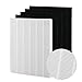 115115 Size 21 True Hepa Filters A Compatible with Winix PlasmaWave air Purifier WAC5300,WAC5500,WAC6300, 5300, 5500, 6300, 9000, 5300-2, 6300-2, P300, C535, Plus 4 Carbon Filters