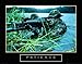 Army Sniper Patience Motivational Poster Army Rangers Art Poster Print, 28x22 Art Poster Print, 28x22 Art Poster Print, 28x22