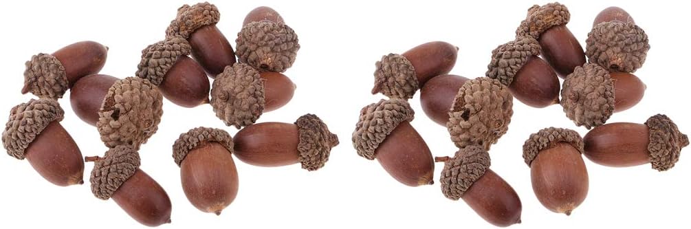 Decorazioni Natalizie Naturali.Ipotch 20 Pezzi Di Ghiande Naturali Essiccate Da Tavola Decorazioni Natalizie Per La Casa Fai Da Te Amazon It Casa E Cucina