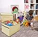EasyGoProducts Giant Toy Box Folding Toy Trunk Organizer, Toy Chest Collapsible Storage Bin, Great for Nursery or Any Room with Toy Box Lid and Side Handles - 30