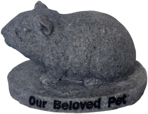 guinea pig remembrance