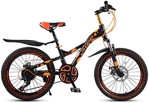 bike single gear