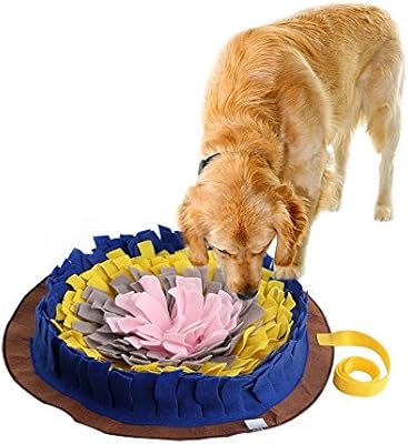 juguetes olfativos perros