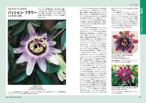 ハワイ魅惑の花図鑑 熱帯 亜熱帯の花1000種 武田 和男 本 通販 Amazon