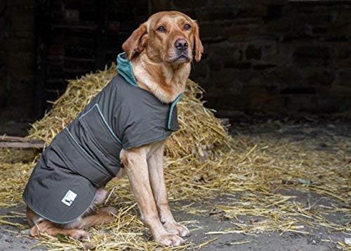 Dog & Field 2-in-1 Waterproof Dog Coat, Green. Microfiber Lined Dog Drying Coat - Image 4