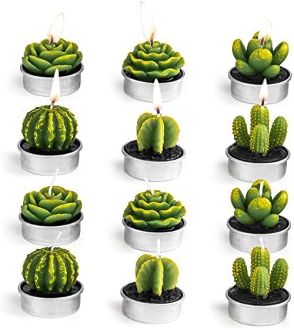 HOOKE Decorative Cactus Tealight Candles Tea Light Candle Holder 12 Pcs for Birthday Party Wedding Spa Home Décor