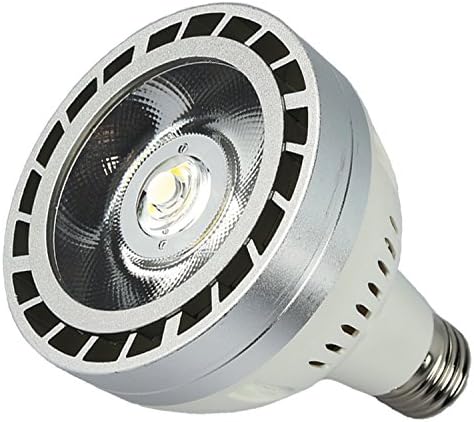 LC LED PAR30 LED Bulb, 150W High Output Daylight White (6000K), 30W 2800 Lumens, Wide Spot Light, Non-Dimmable