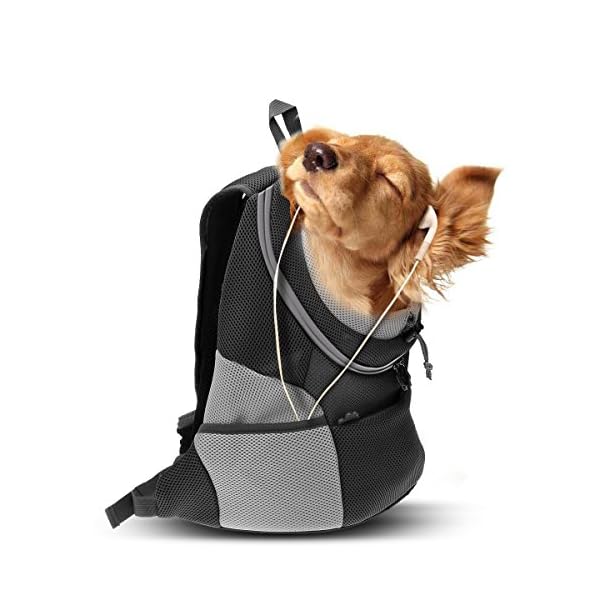 adidas puppy backpack