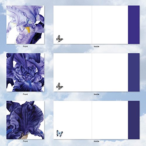 image for The Best Card Company MQ4949OCB-B1x10 Iridescent Iris: 10 Assorted Bla