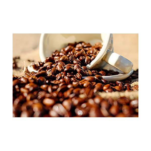 Kaffee - Bio-Box Ganze Bohne - 5 Mal 100g Raritäten Spitzenkaffee - Fünf Kaffeesorten Aus Biologischem Anbau – Bild 6