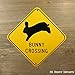 Bunny Crossing, jumping rabbit; pet animal novelty sign, aluminum, 6