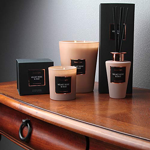 Home Lights Reed Diffuser Gift Set, Natural Scented Long Lasting Sandalwood Jasmine Fragrance Oil for Home Office Gift Idea, Aromatherapy Air Freshener and Stress Relief, 200ml/6.76 fl.oz - Thumbnail 5