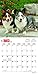 Welsh Corgis 2018 Calendar