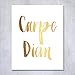 DIGIBUDDHA Carpe Diem Gold Foil Print Poster 8x10