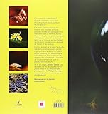 Image de Planète Collemboles : La vie secrète des sols