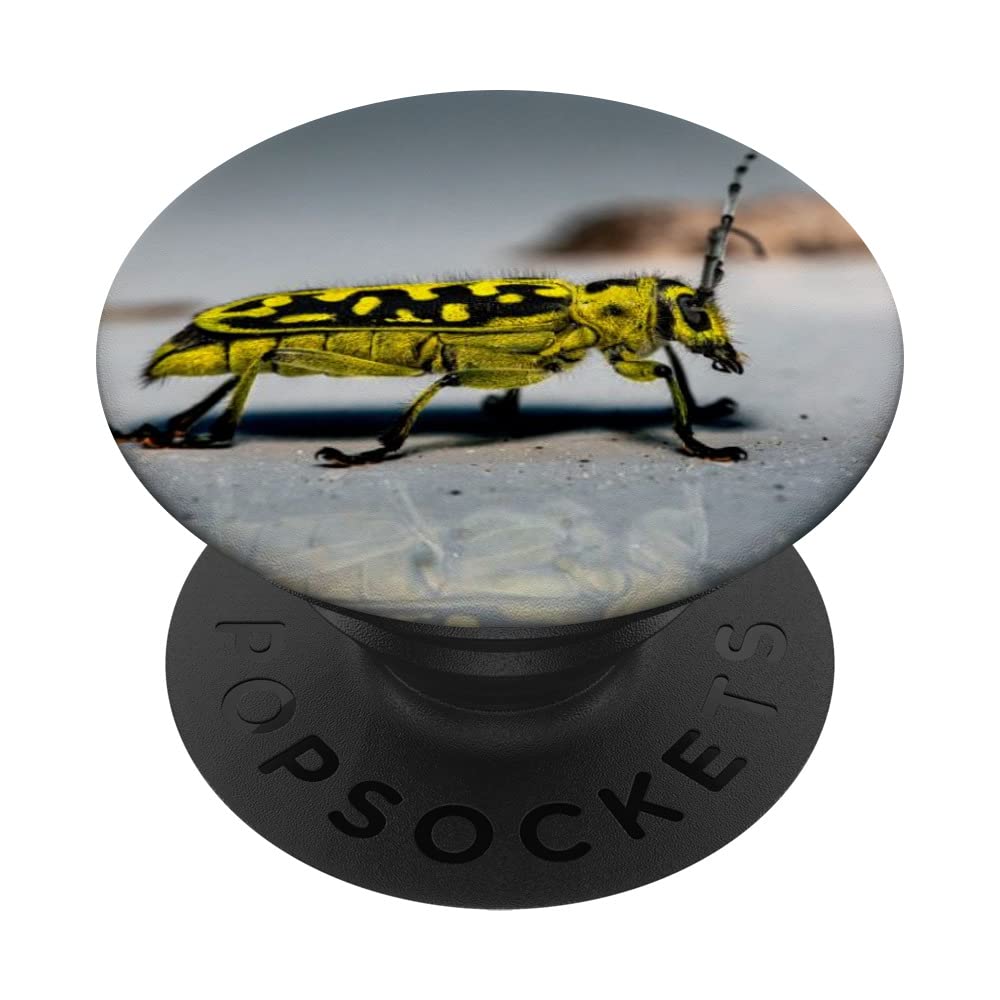 Beetle Bug PopSockets Swappable PopGrip