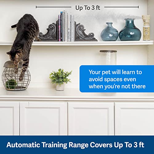 PetSafe SSSCAT Spray Pet Deterrent, Motion Activated Pet Proofing