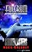 Fulcrum (Strikemasters Book 3)