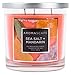 Aromascape 3-Wick Scented Jar Candle, Sea Salt & Mandarin