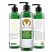 Vegan Hemp Seed Oil & Mango Seed Butter Face, Hand, & Body Lotion by Wellness Prioritized For Rosacea, Acne, Psoriasis & Eczema Lavender Melaleuca All Natural Organic 8 oz