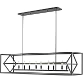 Z-Lite 457-10L-MB Euclid Chandelier, 10-Light 600 Total Watts, Matte Black