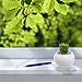 3.5 Inch Small Round Modern White Ceramic Succulent Planter Pot - MyGift