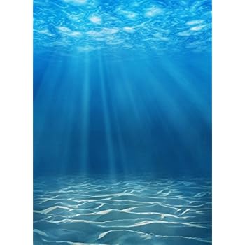 Amazon.com : Laeacco Underwater Background 6.5x10ft Deep