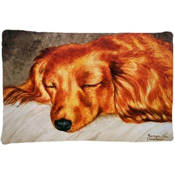 Amazon Com Caroline S Treasures Amb1341pillowcase The Dog Beach
