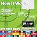 Mohu Leaf 30 Television Antenna, Indoor, 30 Mile Range, Original Paper-thin, Reversible, Paintable, 4K-Ready HDTV, 10 Foot Detachable Cable, Premium Materials for Performance, USA Made, MH-110598