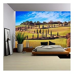 Cypress Trees Scenic Road. Siena, Tuscany, Italy. - Removable Wall Mural | Self-Adhesive Large Wallpaper - 66x96 inches