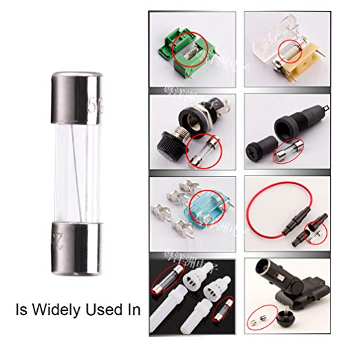 5 F10AL+Fast+Blow+Glass+Fuses+FENGWANGLI