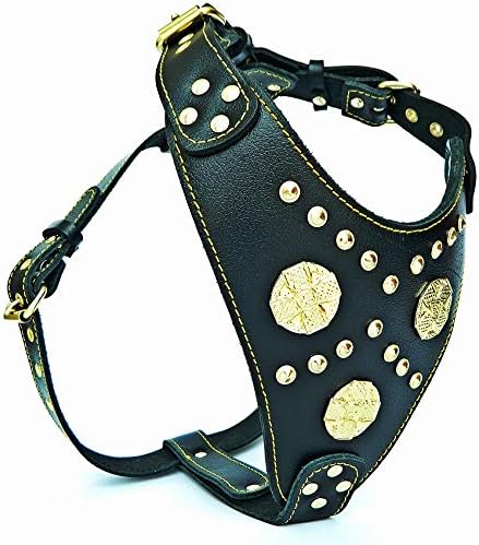 THE MAXIMUS HARNESS