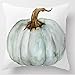 Decemter Happy Fall Yall Pumpkin Thanksgiving Decoration Cotton Blend Cushion Cover Set of 4,18x18