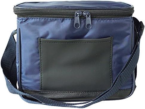 Insulated Lunch Bag, Drinks Cooler Bag with Aluminum Foil Liner and Zipper Closure For Women/Men/Students, 9.5"x6.5"x7.5"
