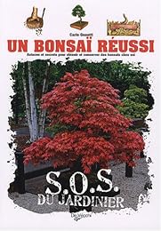Un  bonsaï réussi