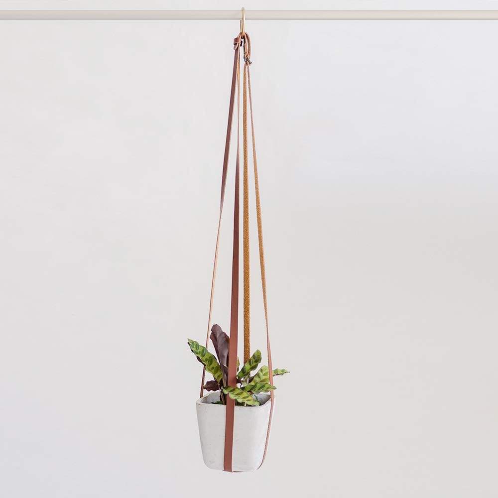 The 10 Best Teak Ladder Planter