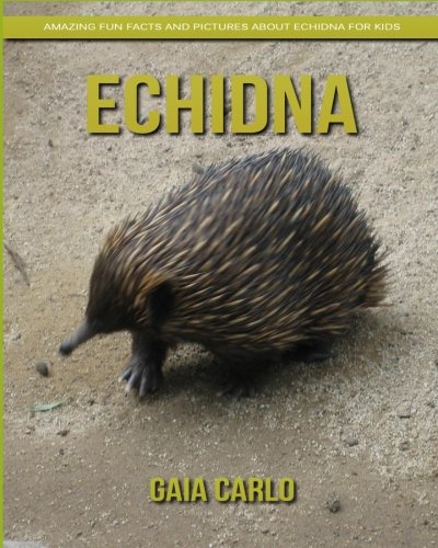 Echidna: Amazing Fun Facts and Pictures about Echidna for Kids