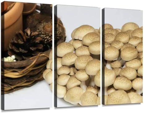 Amazon Co Jp きのこ しめじ シメジ 食材 キノコ ぶなしめじ ブナシメジ はたけしめじ 本しめじ 本シメジ オルチニンポスター パネル 現代壁の絵 壁掛け 部屋飾り 背景絵画 壁アート 完成品 3枚セット すぐ飾る ホーム キッチン