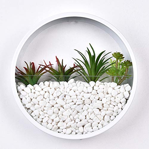 Round Glass Wall Vase Planter, Indoor Decorative Contemporary Morden Circle Iron Vase for Herb,Small Cactus for Room Decor,in Gift Box, 8″ H, White
