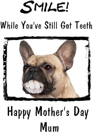 Dent Bouledogue Francais  : Voir Plus D�idées Sur Le Thème Bouledogue Français, Bouledogue, Vêtements Pour #Bouledoguefrançais #Bouledoguefrancais #Boubou #Frenchypuppy #Frenchbouledogue #Bouledogue #Frenchybully.