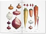 Image de Vilmorin, Vegetable Garden (Multilingual Edition)