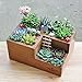 Easydeal Wooden Garden Window Box Trough Planter Succulent Flower Bed Pot (Three gird)