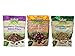 Salad Pizazz Salad Topping 3 Flavor Variety Bundle: (1) Salad Pizazz Mango Honey Macadamia Delight, (1) Salad Pizazz Raspberry Cranberry Walnut Frisco, and (1) Salad Pizazz Cucumber Dill Gusto!. 3.5-4 Oz. Ea.