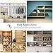 FANDAMEI 200 PCS 5mm Shelf Pins, Shelf Pegs, Metal Nickel Shelf Pins, Shelf Support Pegs, Cabinet Shelf Pegs, Shelf Pegs for Shelves, Shelf Pins 5mm, Spoon Shaped Cabinet Support Pegs Holder