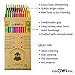 Eco Friendly Quality Artist Colored Pencils Set 24 - Soft Lead - Pre-Sharpened - Bright Assorted Eco Colored Pencils - For Kids, Classroom, Drawing, Sketching, Shading and Adult Coloring Books