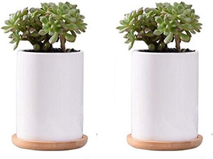 2 Set of Succulent Plant Pots - 2.75Inch Ceramic Cylindrical Containers, Small Cactus Planters, Flower Pots with Drainage Hole, Bamboo Tray for Office,Window,Kitchen,Home